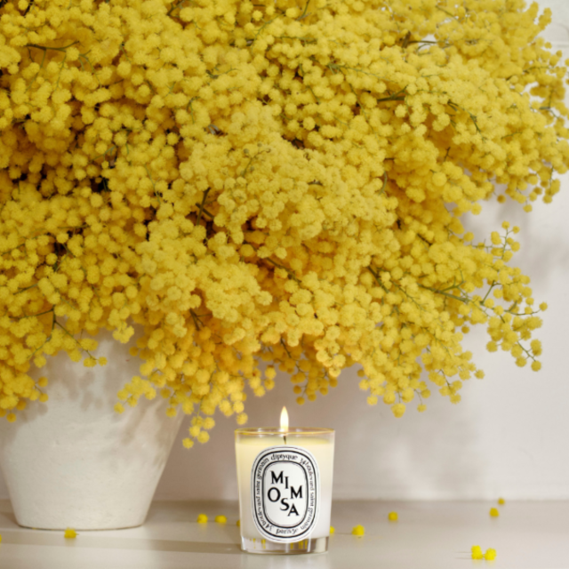 Diptyque Paris Mimosa candle