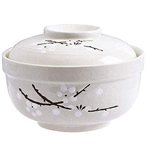 Whitenesser Ceramic Bowl with Lids, Asian Big Soup/Noodle Ceramic Bowls with Lid Serving for Soup Salad Pasta and Noodle
