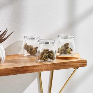 BudShield Storage Jar with Lid, Set of 3