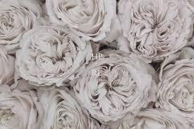 The Wedding Website of Kaeli Bustos and Marquise Seibert