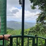 Rainforest Adventures St Lucia Aerial Tram and Zipline Tour (with Transfer*)
