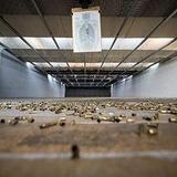 Bristlecone Shooting, Training, & Retail Center - Shooting Range in Denver