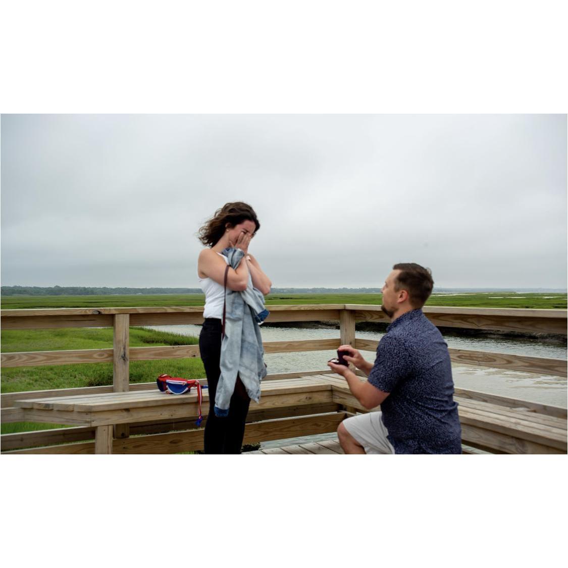 The Proposal! (2020)