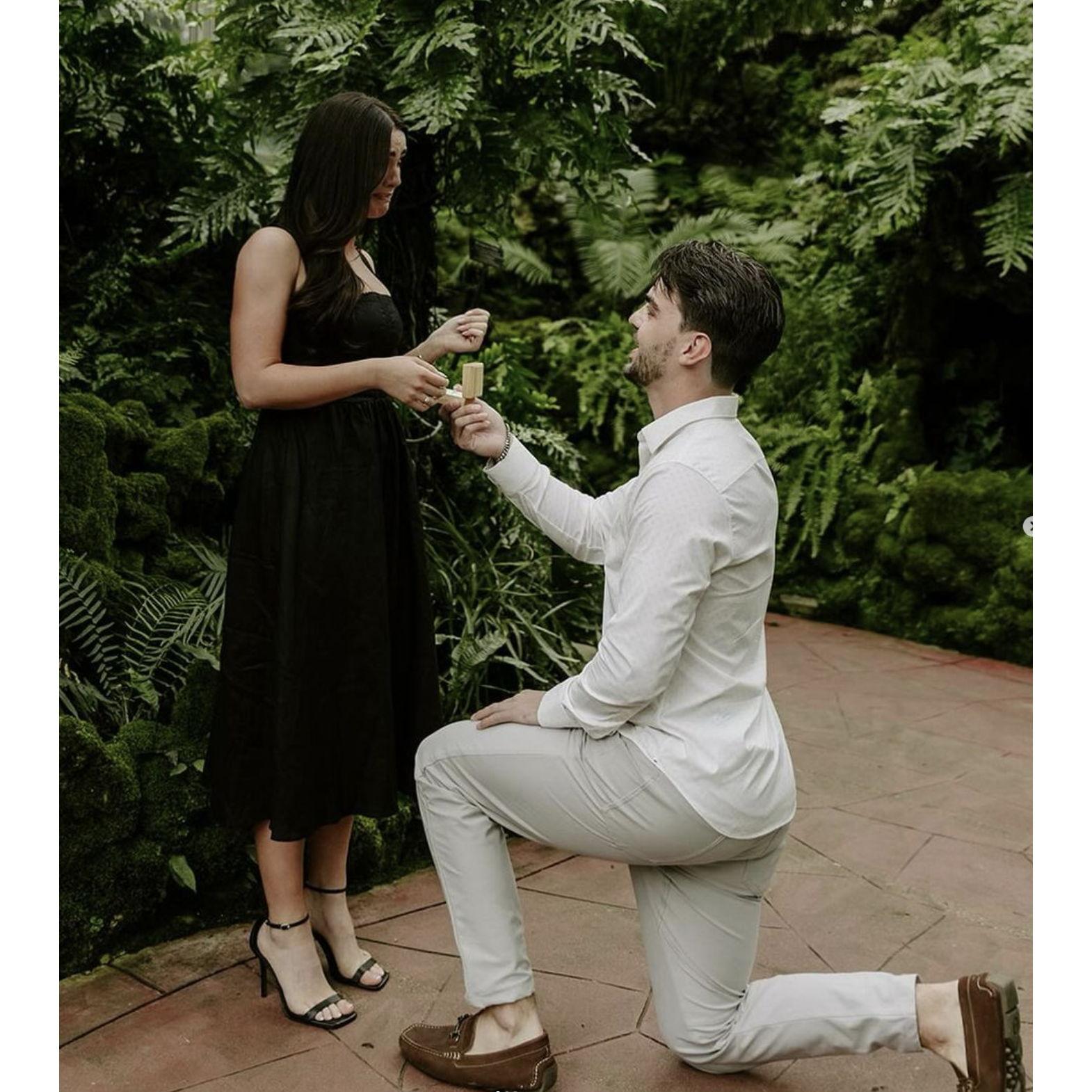 The proposal