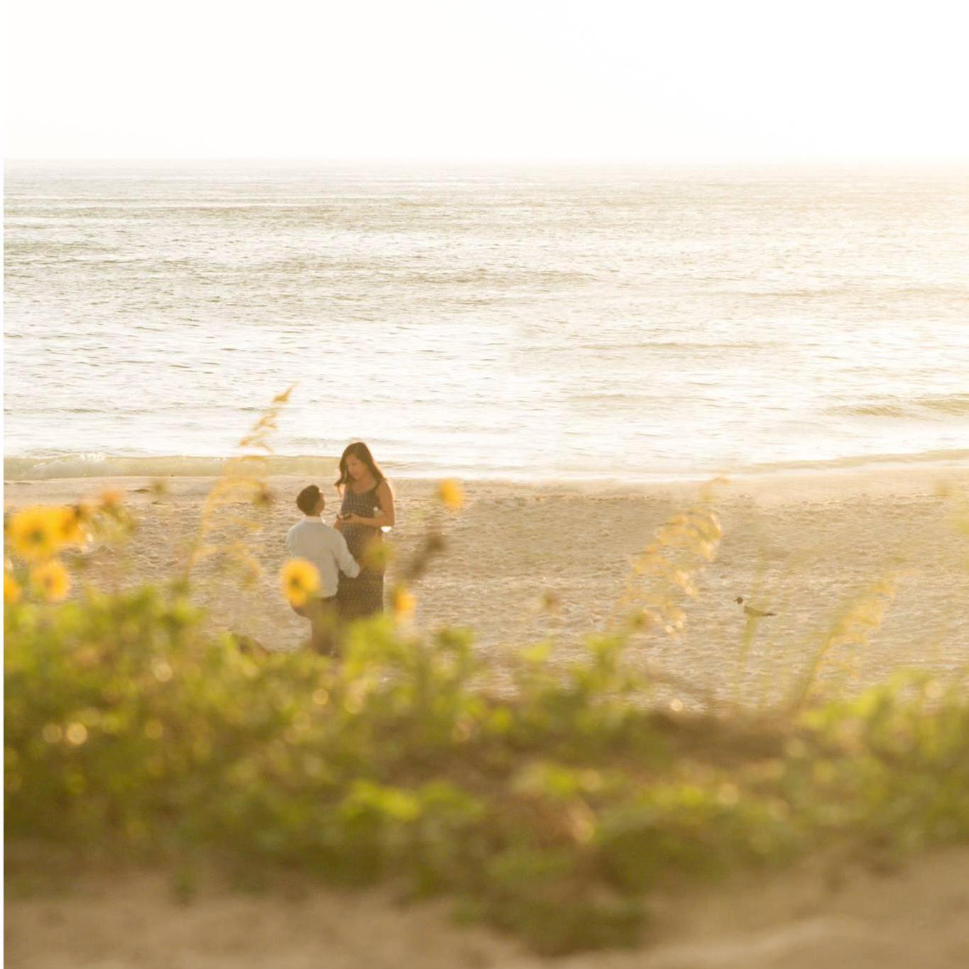 The proposal!
