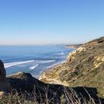 Torrey Pines State Natural Reserve