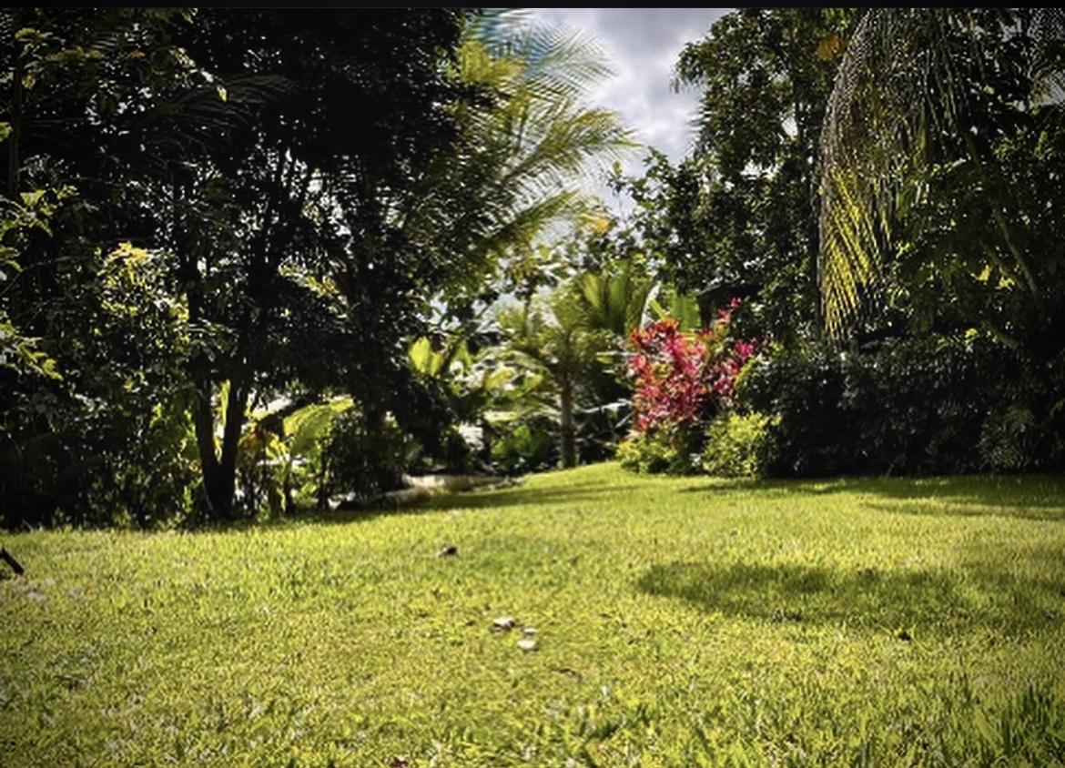 The Wedding Website of Valerie Roman and Raymond Herrera