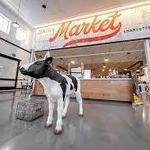 Dairy Market Charlottesville