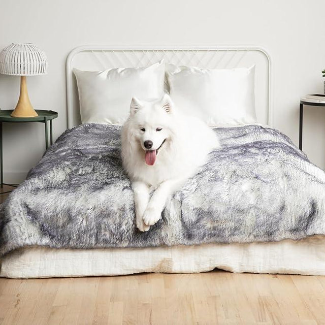 PupProtector Luxe Waterproof Throw Blanket for Dogs and Cats, Pet Blanket Cover for Couches, Sofas, Beds, Car Seats, Furniture, Calming Soft Faux Fur, Arctic Fox, Large (80" L x 62" W)