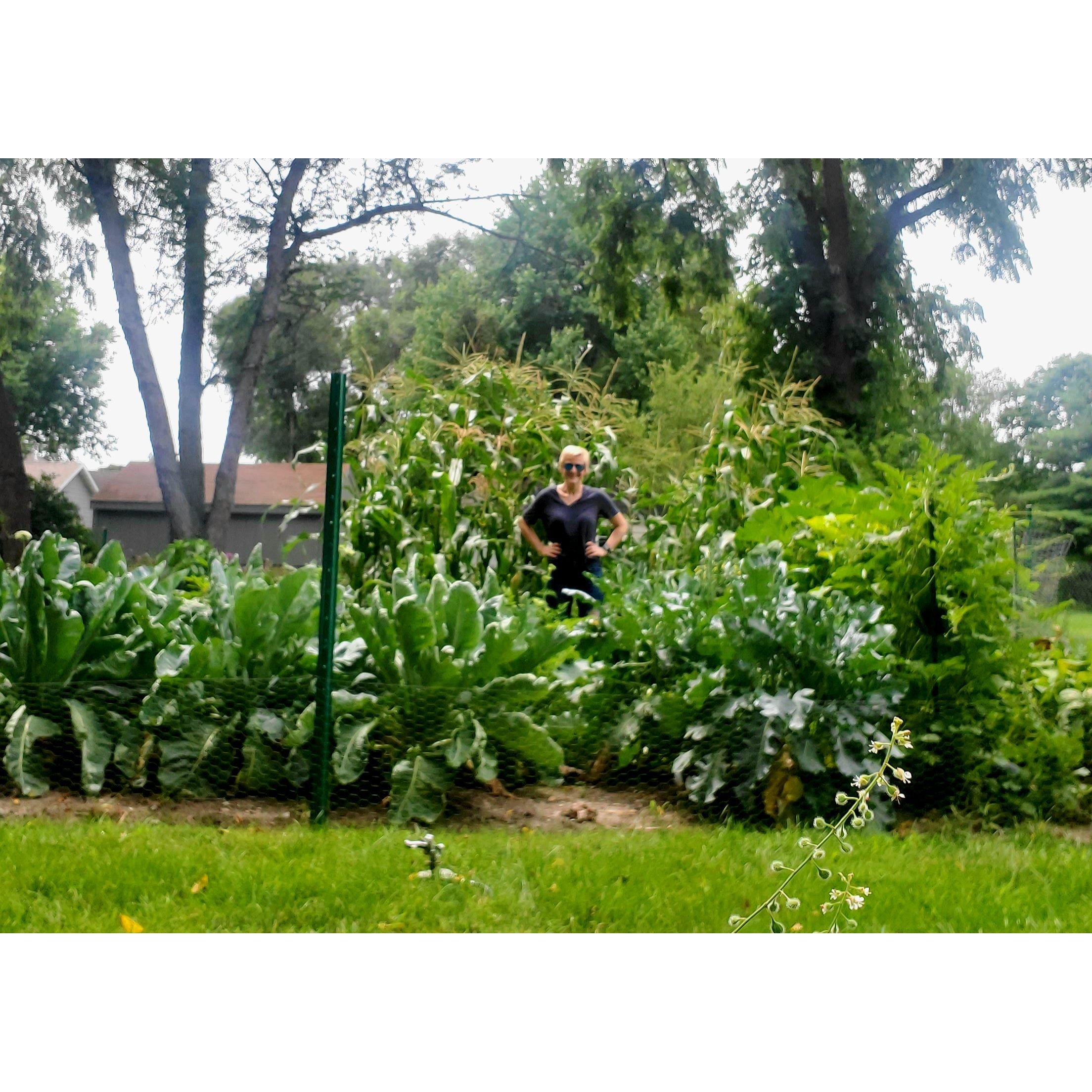 Our first year with a 20x40 foot garden