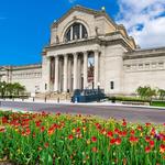 Saint Louis Art Museum
