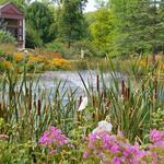 The Holden Arboretum