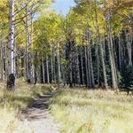 Kachina Trail #150