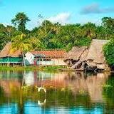 🌿 Iquitos