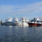 Wanchese Marina
