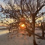 Folly Beach County Park