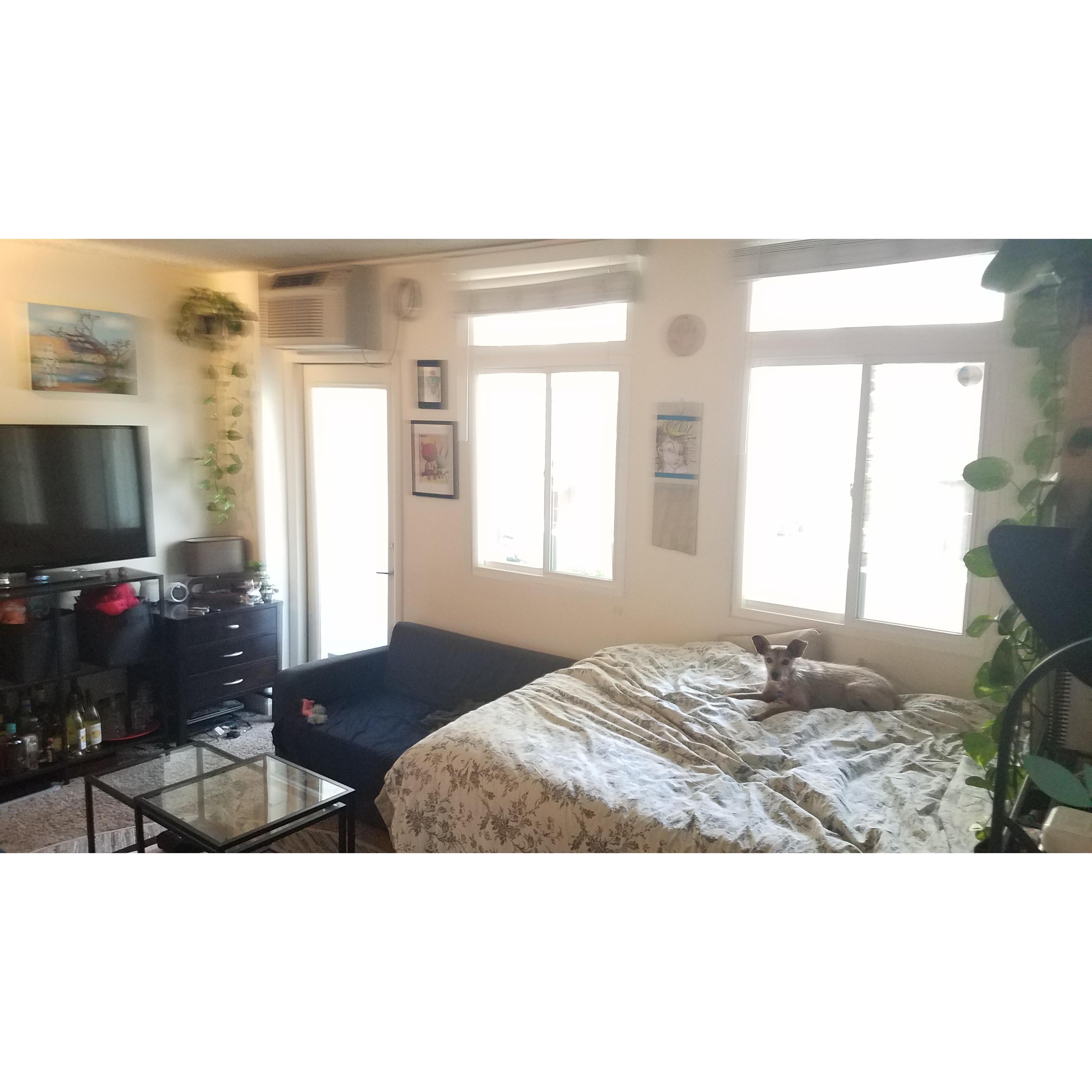 Our first pad