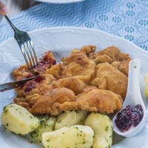 Post-Hike Dinner in Austria