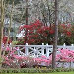 Azalea Park