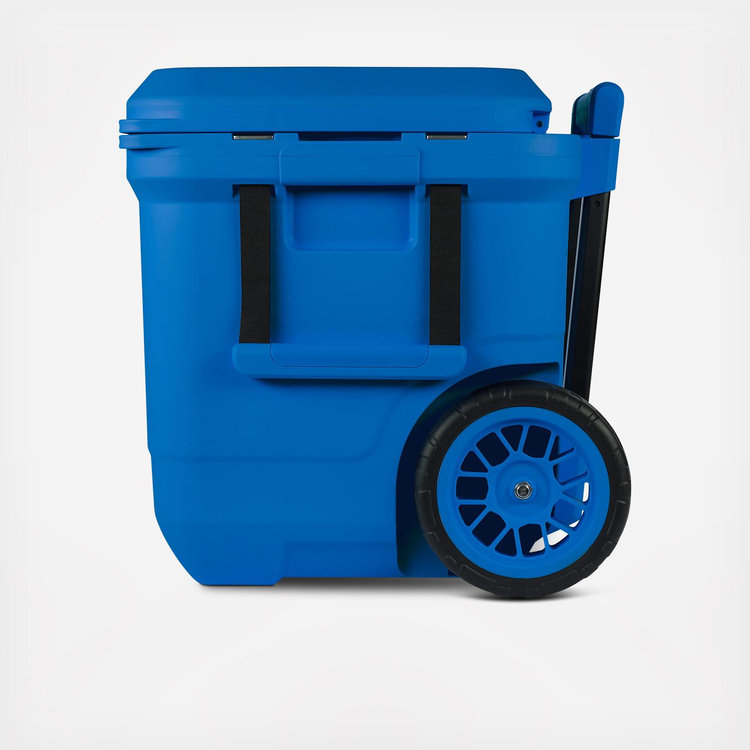 Coleman, Pro 55-Quart Hard Cooler | Zola