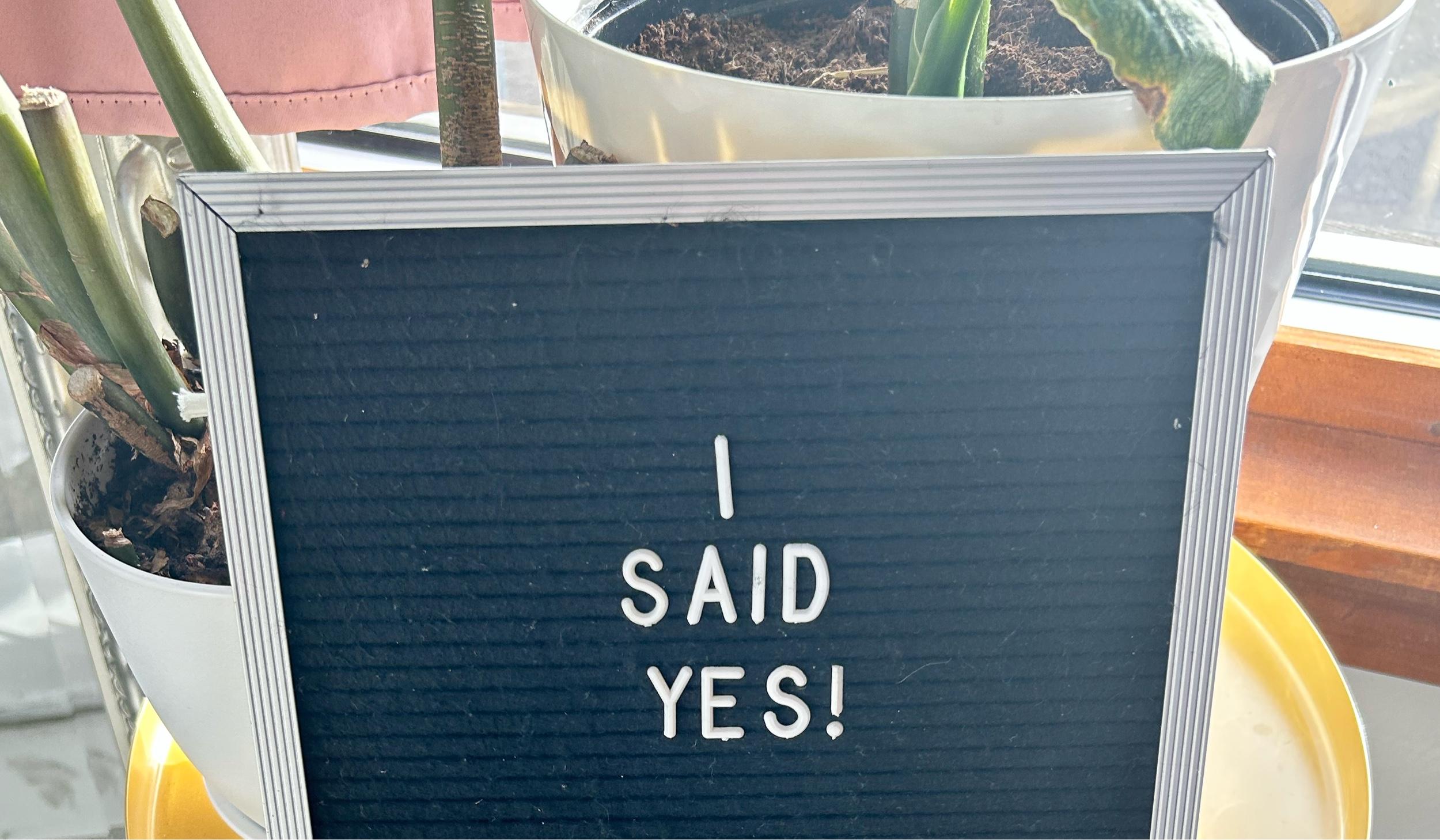 The Wedding Website of Sara Rodriguez and Anthony Kappes