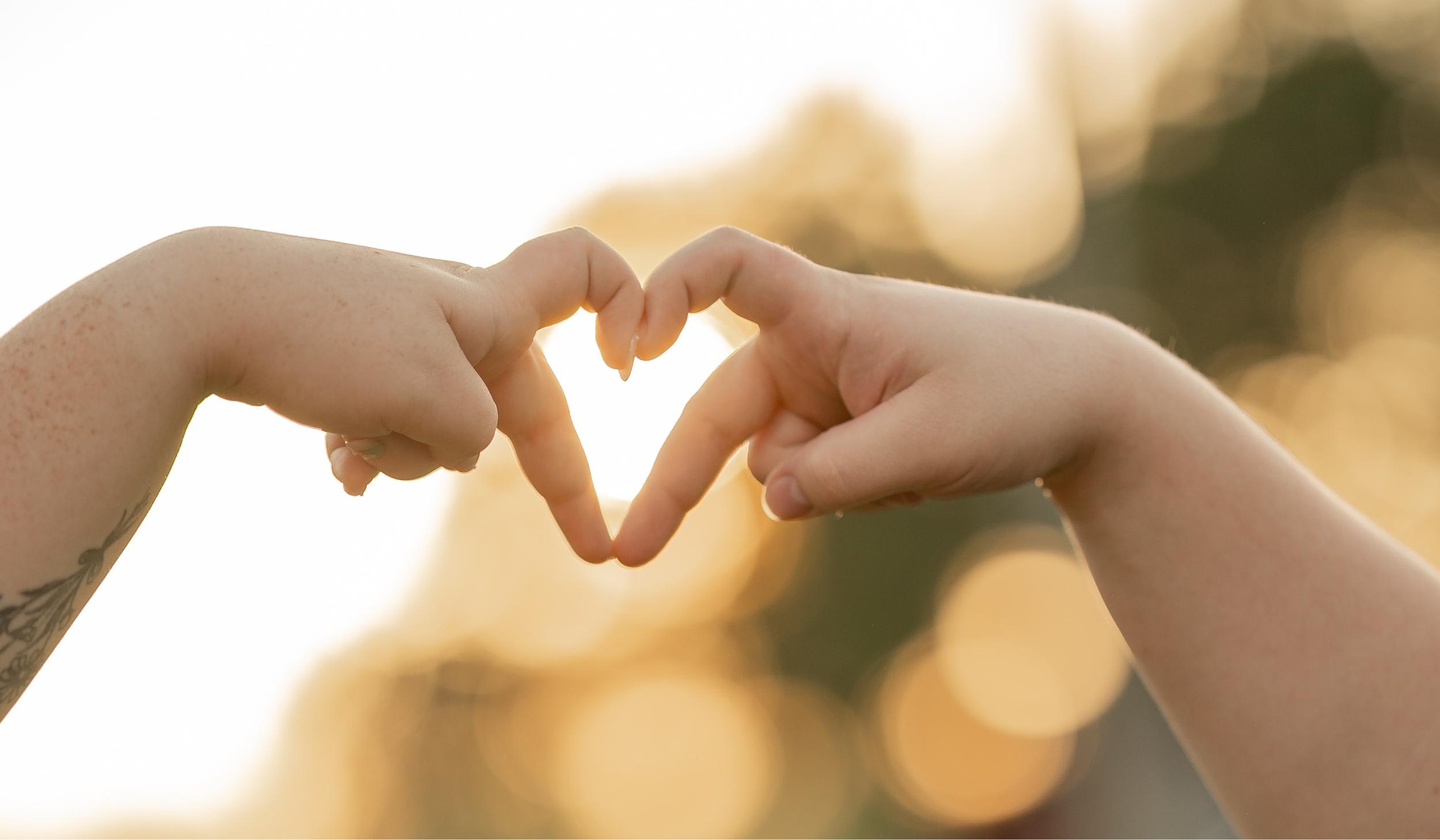 Hero Slideshow Image 3