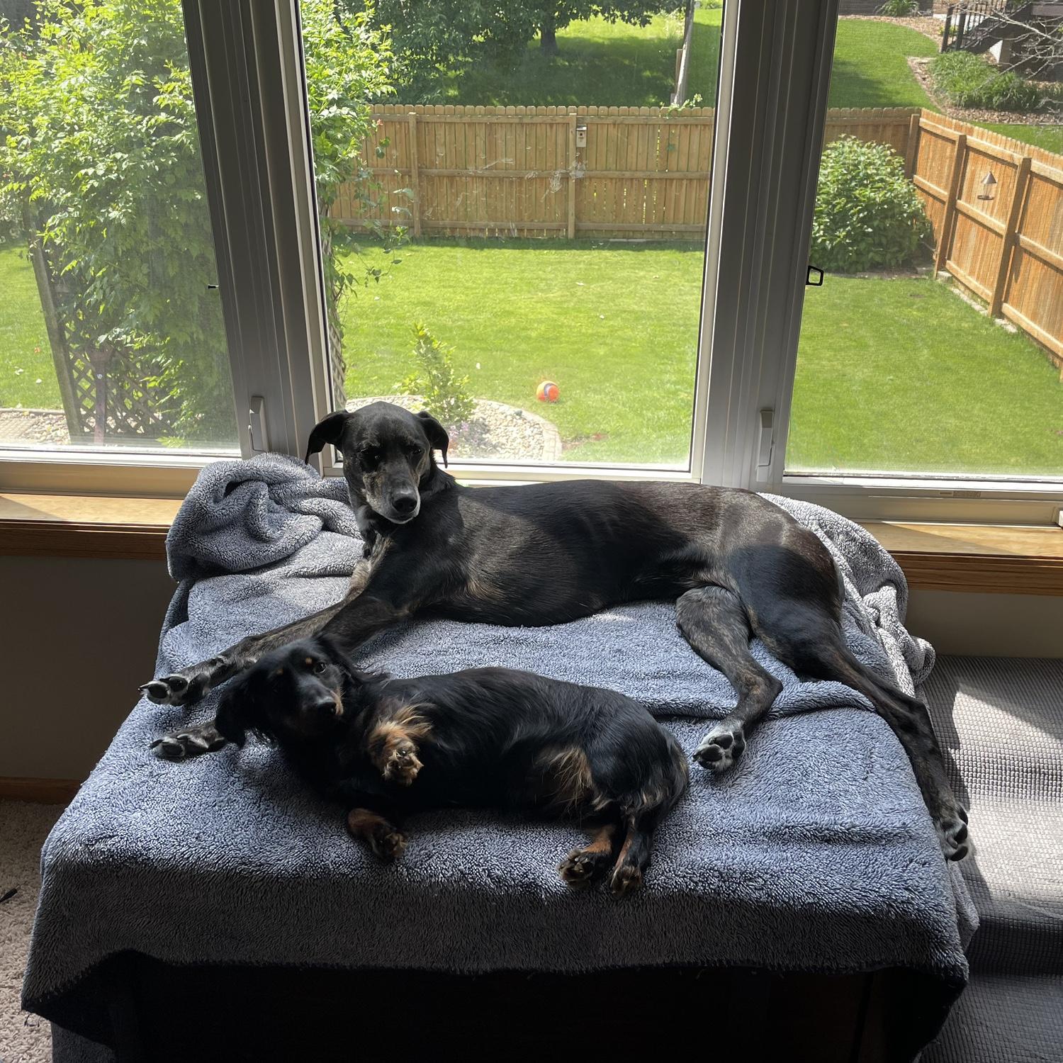 Juno & Maverick