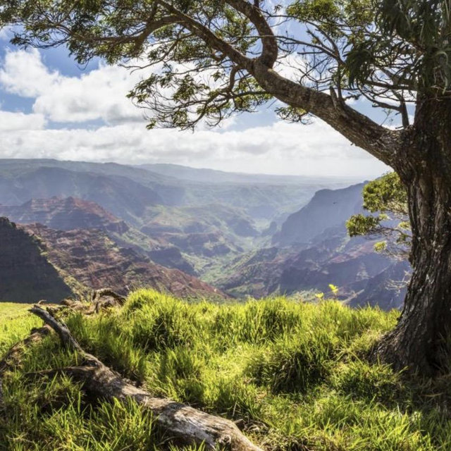 Hiking Permits and Park Fees for Hawaii