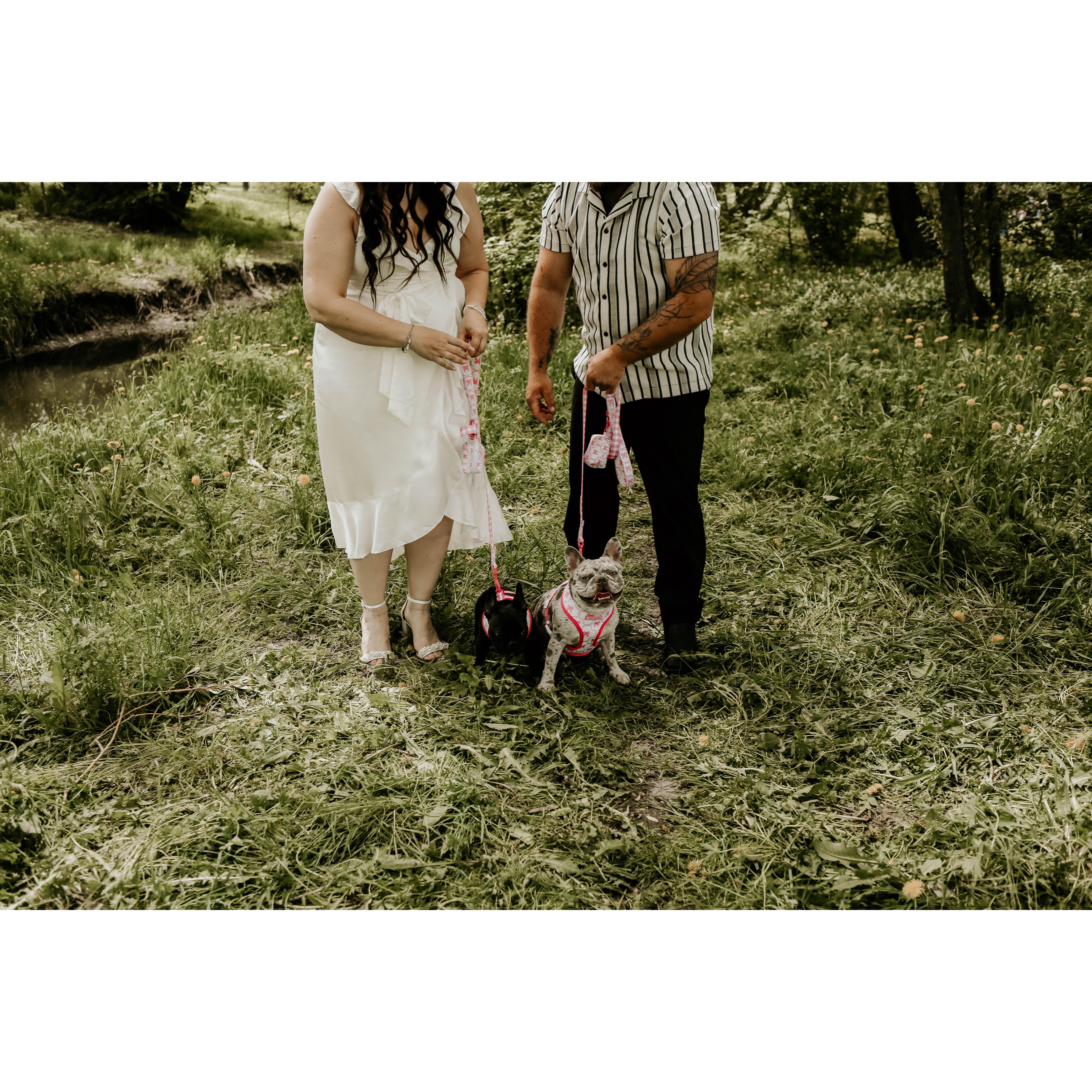Jersey, our 2.5-year-old French bulldog, is full energy. Jette, our 5-month-old French bulldog is loving and affectionate.  We are delighted to share our special day with Jersey and Jette.