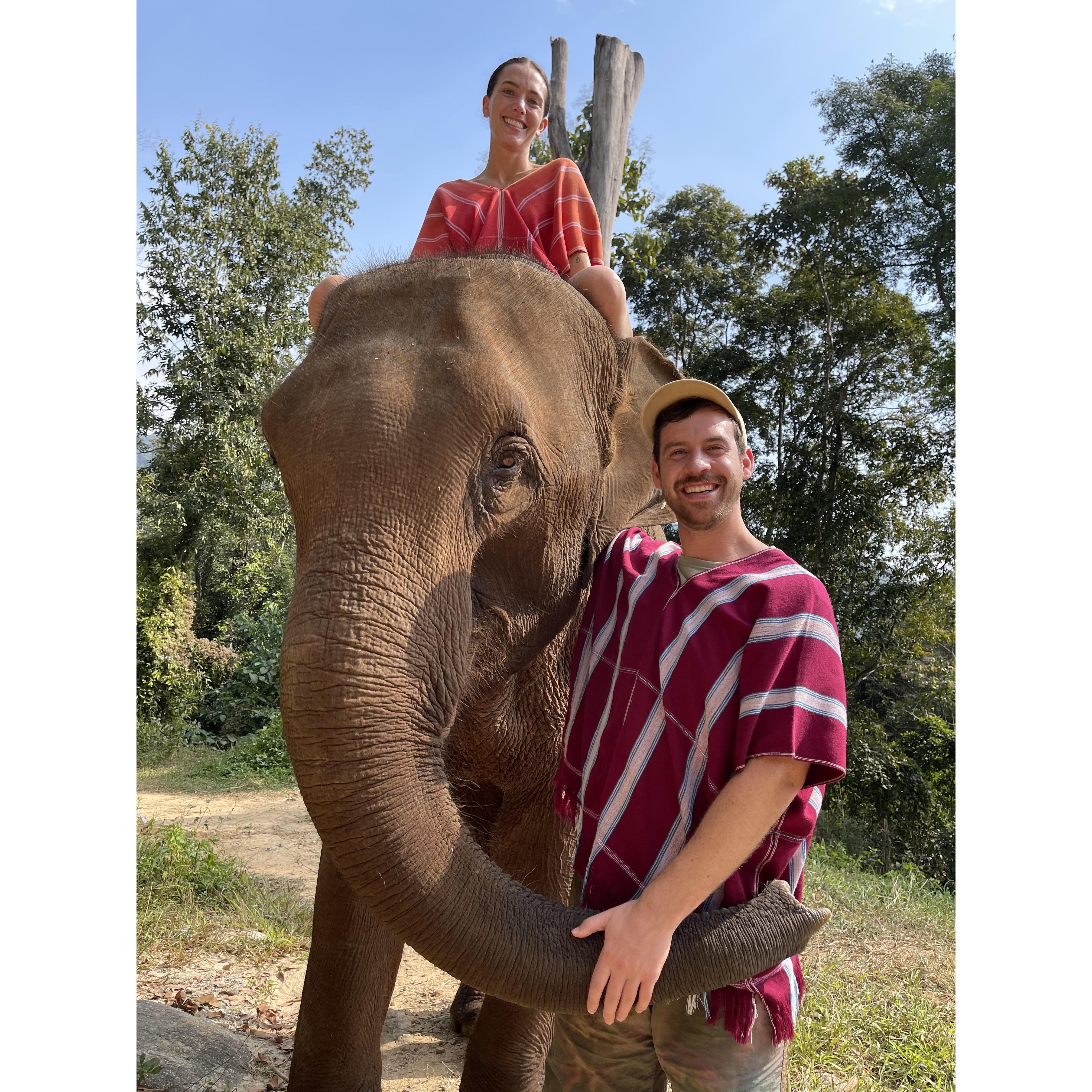 Elephant Trainers for a day! Chiang Mai, Thailand