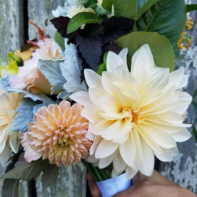 Flower CSA