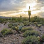 Hiking Gateway Trailhead