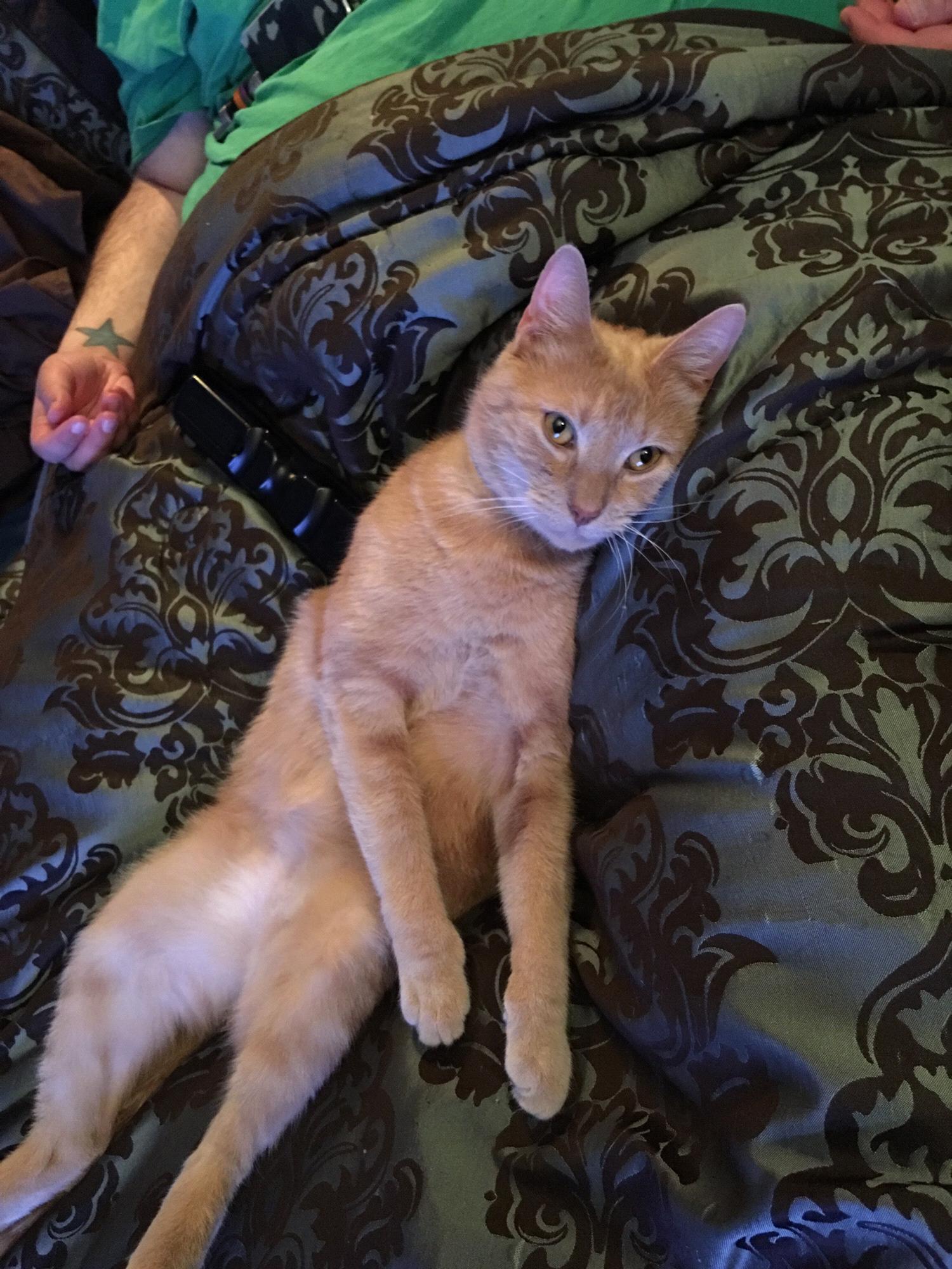 Sam