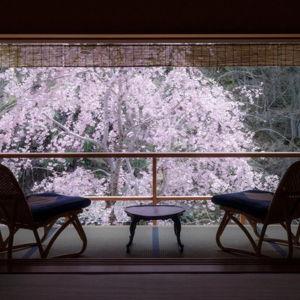 Honeymoon Resort
