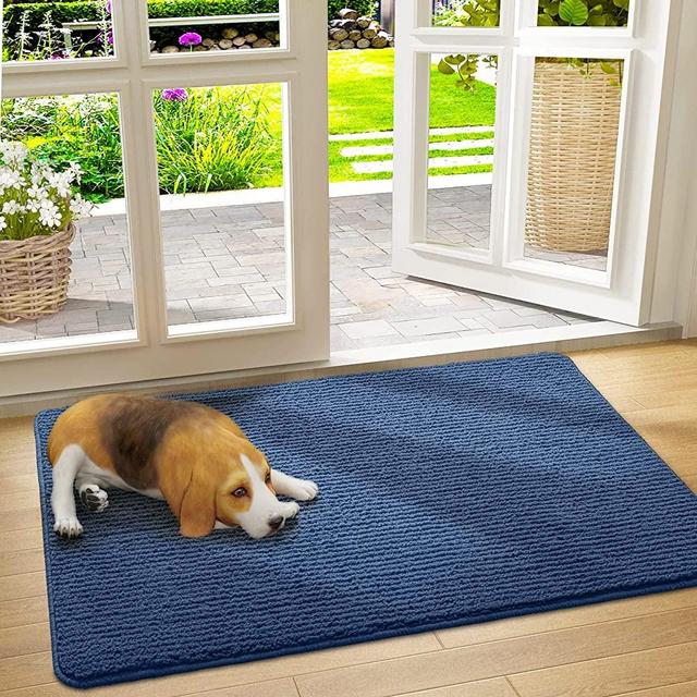 DEXI Entryway Rug Indoor Entry Doormat Front Door Rugs Non Slip Low Profile Absorbent Washable Mats for Home Entrance 19.5"x31.5",Blue