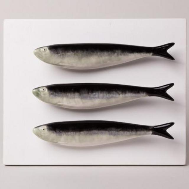 Three Sardines on a Painted Board