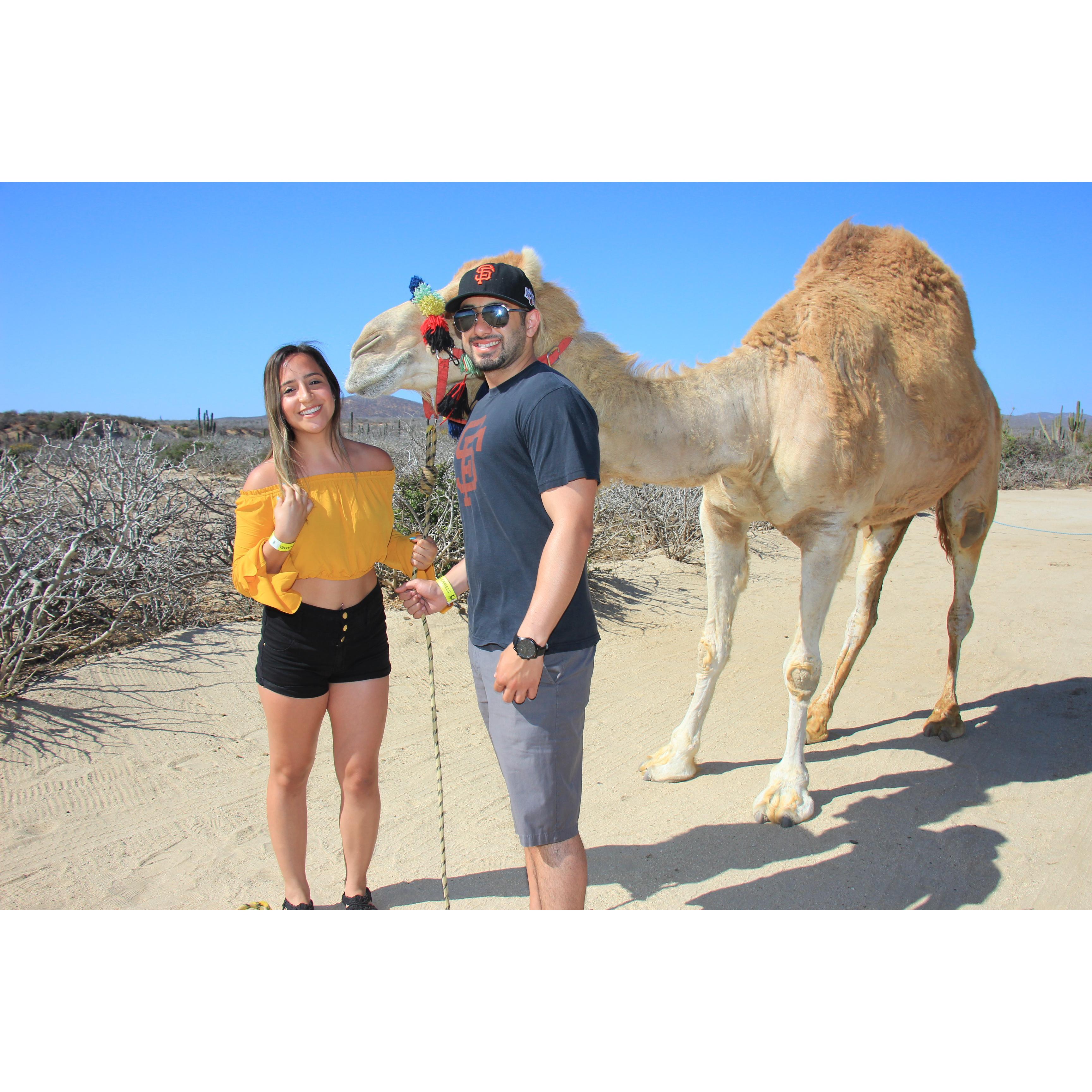 Cabo San Lucas, Mexico
