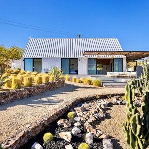 Honeymoon in Joshua Tree