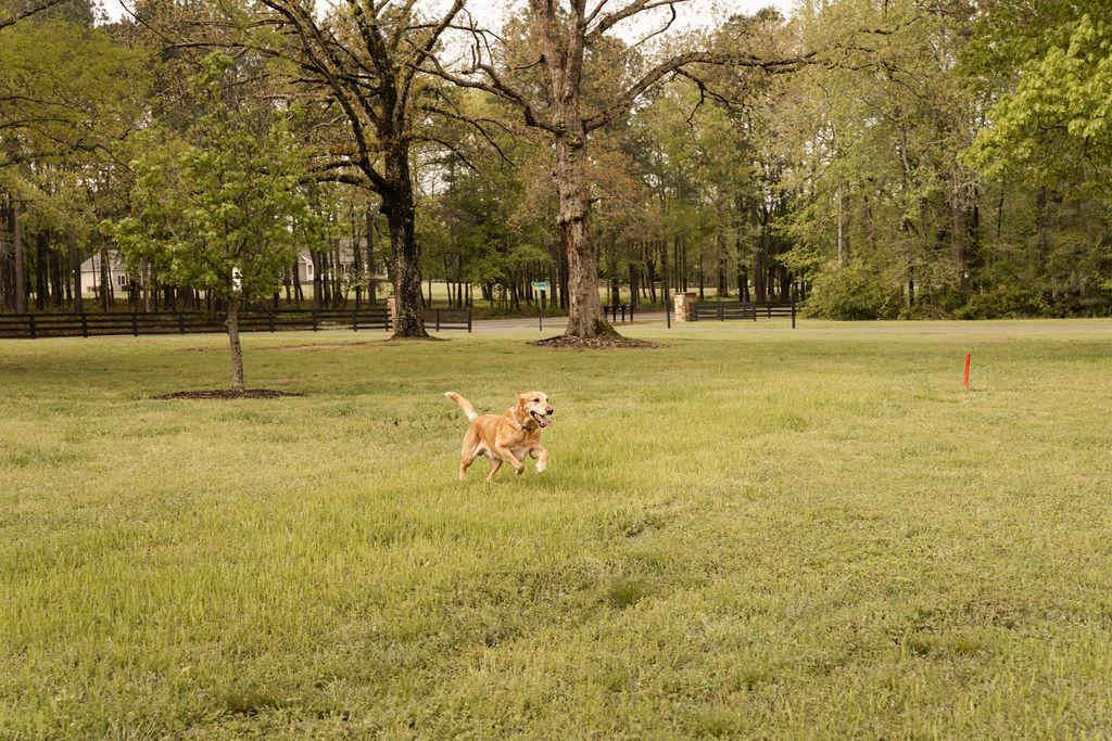 The Wedding Website of Jayme Boyles and Shawn Tew