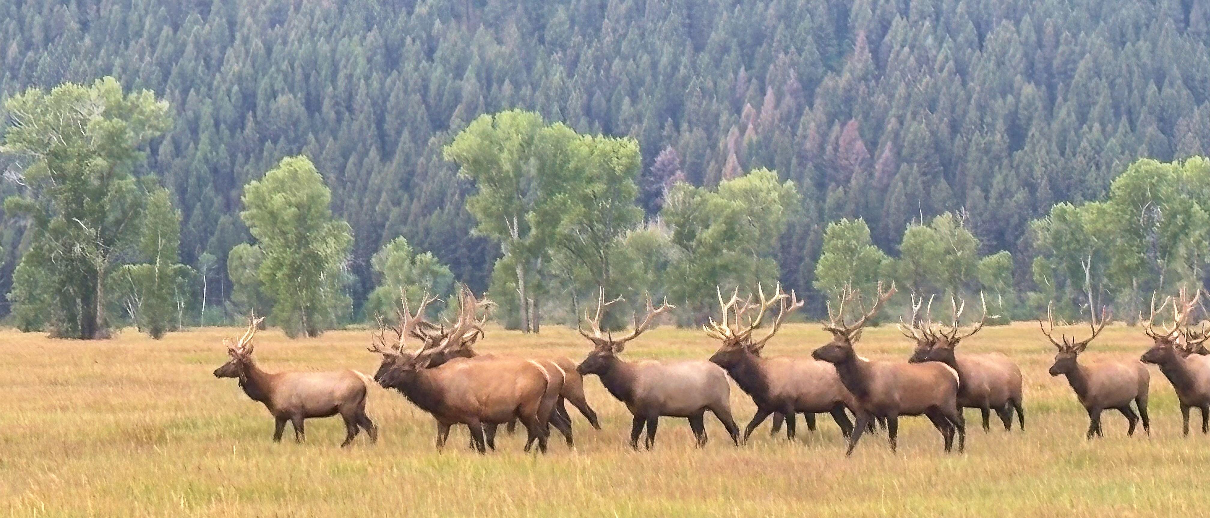 The Wedding Website of Emma Brushaber and Tommy Blanchard