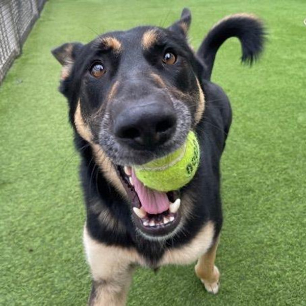 Extra Ball Time for Todd