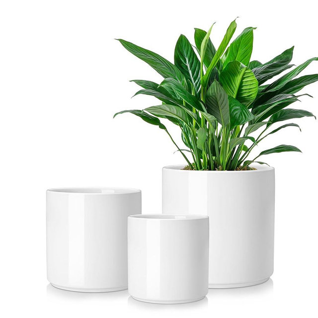 vancasso 6"+8"+10" Ceramic Pot for Plants, Large Outdoor Indoor Planter Pots with Drainage Holes, Set of 3, White