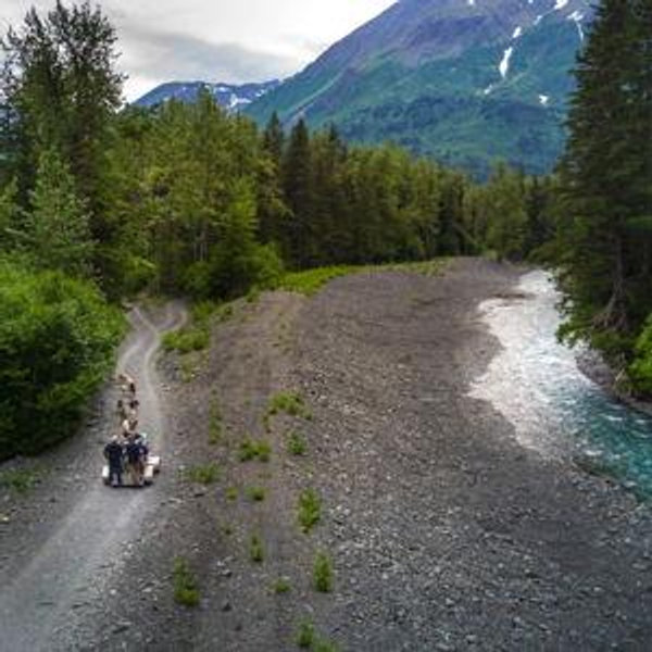 Honeymoon Fund: Dog Sledding