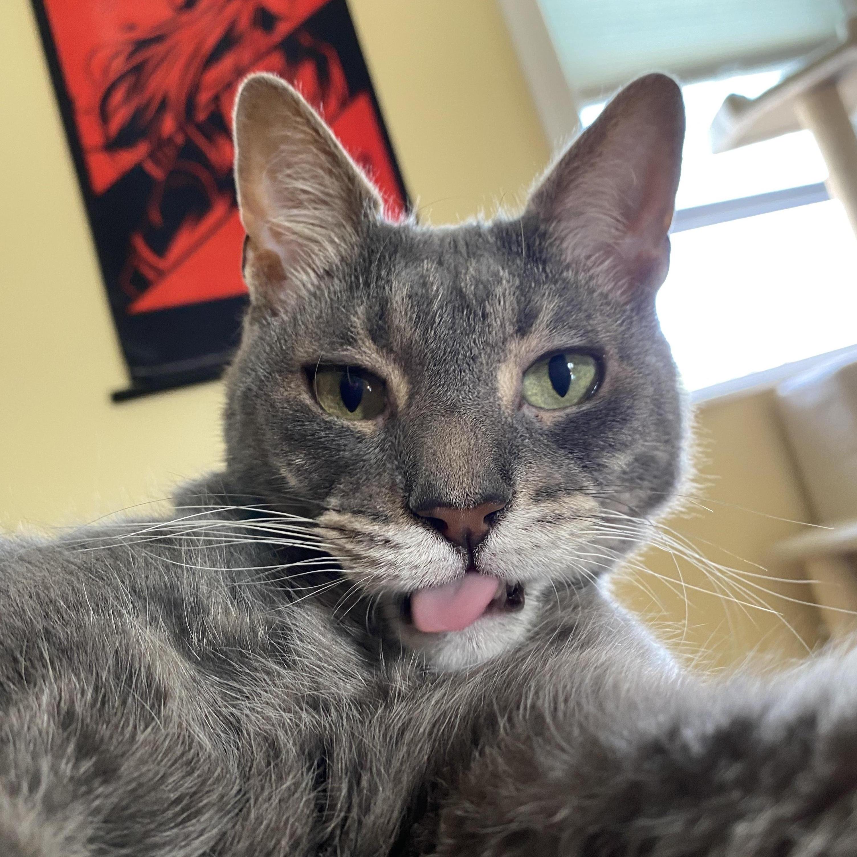 Our derpy baby!!