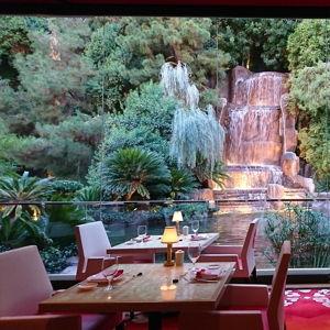 Honeymoon Dinner at Mizumi