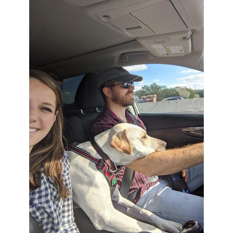 No car ride is complete without some snuggles