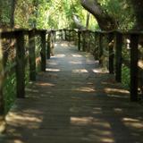 Sea Pines Forest Preserve