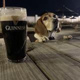 Guinness Open Gate Brewery