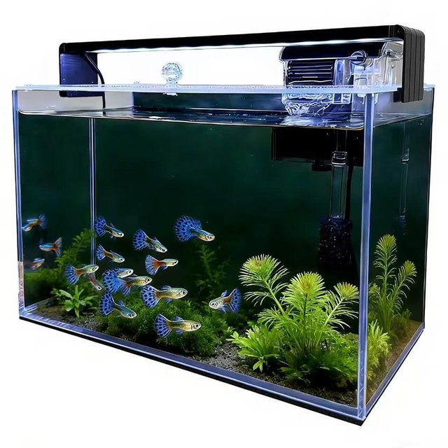 SMTAQX 3.2 Gallon Fish Tank, Nano Nature Aquarium Kit,Small Aquarium Starter Kit,Ultra-Clear Rimless Desktop Small Aquarium with Filter and Light for Betta,Shrimp,Goldfish.Black Glass