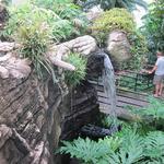 Foellinger-Freimann Botanical Conservatory